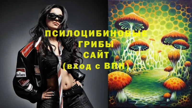 Псилоцибиновые грибы Magic Shrooms  маркетплейс телеграм  Энгельс 