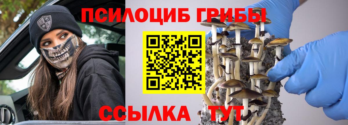 Псилоцибиновые грибы ЛСД Энгельс