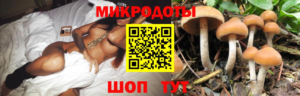 Псилоцибиновые грибы Cubensis  Вход с VPN  Энгельс 